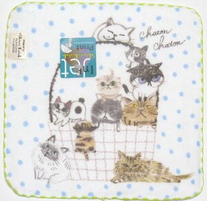 nJ`^IuoXPbgvShinzi Katoh ^I`[t