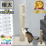 【3冠達成 つめとぎ部門 楽天1位受賞】 PET PINA 猫 爪とぎ ポール キャットタワー 極太 ロング 本体 お…
