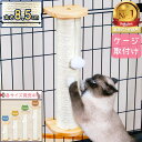 PET PINA 猫 爪とぎ ポール キャット ケージ 壁 取り付け ネコ 猫 おもちゃ 猫の爪とぎ 猫 ケージ ゲージ 猫の爪研ぎ …