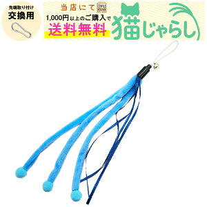 PET PINA L 炵  p Ђ^Cv u[ yXɂ1,000~ȏ̂wőz