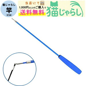 PET PINA L 炵  Lk ^Cv yXɂ1,000~ȏ̂wőz