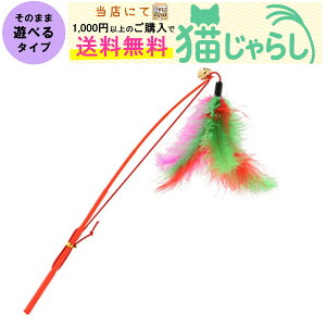 PET PINA L 炵  vX`bN H  ^Cv yXɂ1,000~ȏ̂wőz