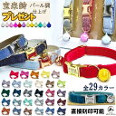 PET PINA 猫 首輪 迷子札 鈴 付き バックル オーダーメイド 刻印 首輪 猫 おしゃれ ネームタグ 無地 シンプル リボン 名入れ 名前入り 首輪猫 ストレス フリー まいご ねこ ネコ ペット 首輪 猫の首輪 くびわ かわいい 可愛い 超軽量 ねこ ネコ 猫用首輪