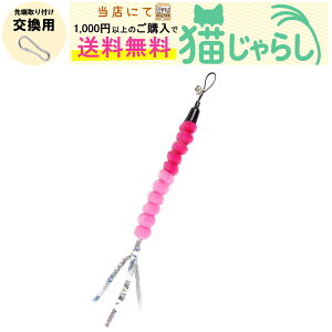 PET PINA L 炵  p CV^Cv ی^ t sN bh yXɂ1,000~ȏ̂wőz