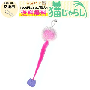 PET PINA L 炵  p CV^Cv t || sN yXɂ1,000~ȏ̂wőz