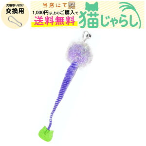 PET PINA L 炵  p CV^Cv t || p[v yXɂ1,000~ȏ̂wőz