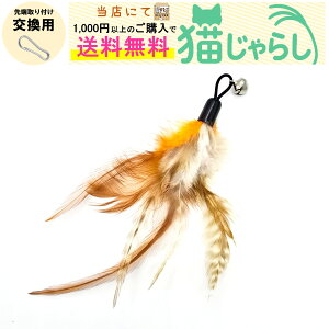 PET PINA L 炵  p H ^Cv t CG[ uE yXɂ1,000~ȏ̂wőz