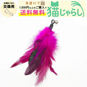 PET PINA L 炵  p H ^Cv t ZsN yXɂ1,000~ȏ̂wőz