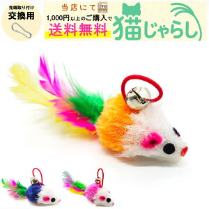 PET PINA L 炵  p ˂݌^ ^Cv t J[_ yXɂ1,000~ȏ̂wőz