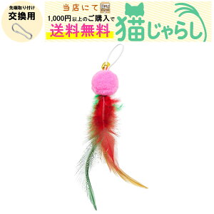 PET PINA L 炵  p  ^Cv t J[_ yXɂ1,000~ȏ̂wőz