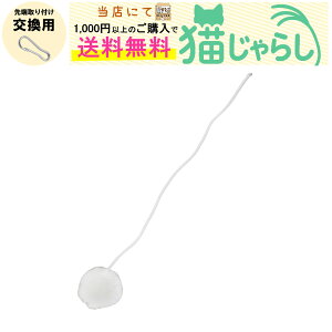 PET PINA L 炵  p || zCg 3cm yXɂ1,000~ȏ̂wőz