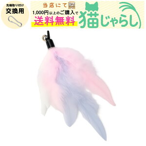 PET PINA L 炵  p H ^Cv u[ zCg sN yXɂ1,000~ȏ̂wőz