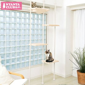 マルカン キティウォーク 猫 キャットウォーク キャットタワー CT-523 天井 突っ張りタイプ