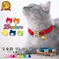 P10倍 PET PINA 猫 首輪 迷子札 鈴 付き バックル オーダーメイド 刻印 首輪 猫 おしゃれ ネームタグ 無…
