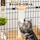 PET PINA 猫 爪とぎ ポール キャット ケージ 壁 取り付け ネコ 猫 爪磨き 猫の爪とぎ 猫 子猫 ケージ ゲージ おもちゃ…