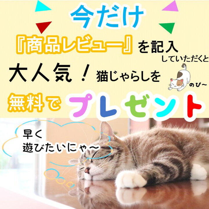 楽天市場 Pet Pina ペットピナ キャットトンネル 2穴 ポンポン付き 折りたたみ式 猫遊宅 ストレス発散 ダイエット 運動不足 対策 おしゃれ スリム 猫おもちゃ 猫用品 省スペース 小動物 送料無料 沖縄 離島を除く にゃんでも屋 楽天市場店 楽天市場 Pet Pina ペットピナ キャットトンネル 2穴 ポンポン付き 折りたたみ式 猫遊宅 ストレス発散 ダイエット 運動不足 対策 おしゃれ スリム 猫おもちゃ 猫用品 省スペース 小動物 送料無料 沖縄 離島を除く にゃんでも屋 楽天市場店