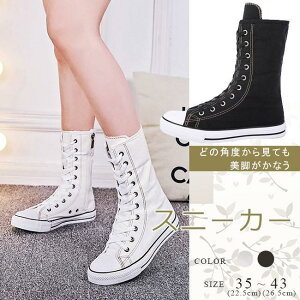 Xj[J[ fB[X LoX ~h t@Xi[t ₷ ҂ݏグ ₷ V[Y ʊw ʋ r JWA S2F 傫TCY