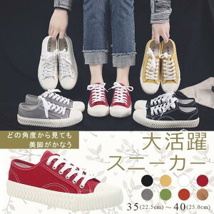 Xj[J[ fB[X V[Y ₷ [Jbg y [XAvV[Y ҂ݏグC LoX n r X|[c   S8F