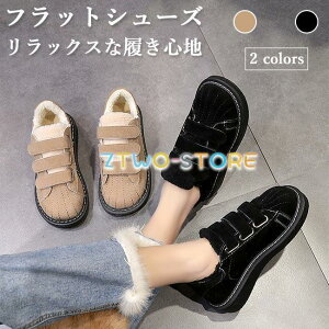 [gV[Y fB[X tbgV[Y ~ [t@[ {A ؂ [gu[c }WbNe[v N JV H