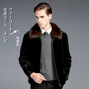 єR[g Y t@[R[g {[ ~N  gbvX JWA t@Xi[t 傫TCY h H~ 21NHV 