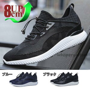 V[NbgV[Y Y  gAbv 10cm8cm6cm upw Xj[J[  amC Cq[ K ʋC JWAV[Y tďH vC