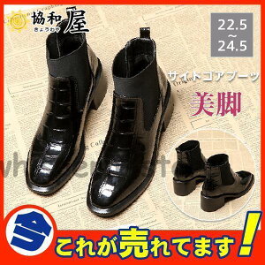 V[gu[c TChSAu[c fB[X V[gu[c NR^ V[Y r Vv  y  ItBX ʋ l