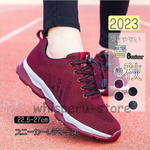 Xj[J[ fB[XY C X|[cV[YV[Y ~ 3040 ₷ Ȃ ɂȂ ʋC Vv ʋ ʊw 