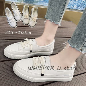 Xj[J[ fB[X  fbLV[Y tbgV[Y [Jbg [X Abv y C