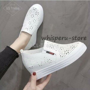 Xb|fB[XXj[J[bVԕtČCq[RtH[gV[YCɂȂ₷ʋCQzCg