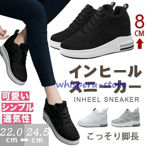 Xj[J[ fB[X Cq[Xj[J[  EH[LOV[Y r g8cmAbv q[ Cq[ ɂ ɂ 