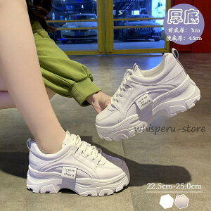 Xj[J[ fB[X V[Y  ؍ _bhXj[J[ ʊw ₷  C  t zCg x[W