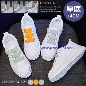 Xj[J[ [Jbg fB[X Xj[J[ }WbNe[v  tbgV[Y oCJ[ r