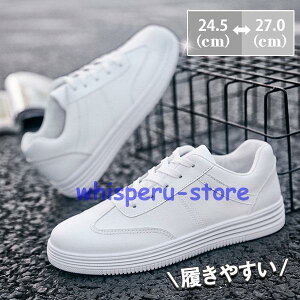 Xj[J[ Y IbNXtH[hV[Y JWA EH[LO C C AEghA ʊw ʋ t H