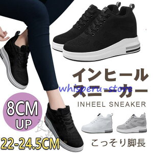 Xj[J[ fB[X   Cq[Xj[J[ V[NbgV[Y 8cm ₷ r q[Abv ɂ y