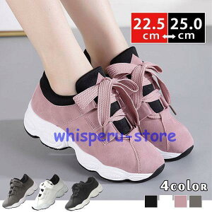 Xj[J[ fB[X EH[LO JWAV[Y nCq[ C  ʊw ʋ n Vv ~ t H ʋC CjO