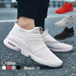 Xj[J[ Y y RȂ EHLOV[Y CjOV[Y g[jO JWA ʋ ʊw 