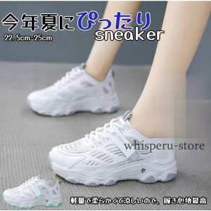 Xj[J[ ăXj[J[ fB[X  StV[Y bV ėp  EH[LO C  JWAV[Y ʋC y ̓2024