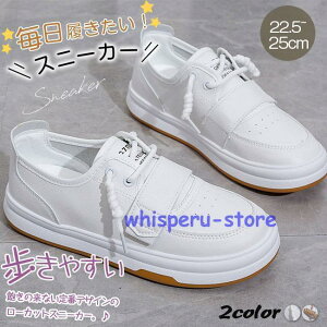 Xj[J[ H fB[X V[Y tH  Xj[J[ jOV[Y EH[LOV[Y ؂ ₷ Ȃ r JWA 