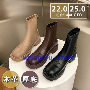 u[c fB[X JWAV[Y nCJbg  C ʊw ʋ n t H ~ AE^[ [N K