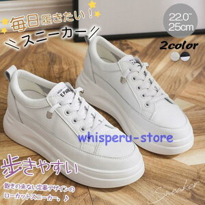 Xj[J[ H fB[X V[Y tH  Xj[J[ jOV[Y EH[LOV[Y ؂ ₷ Ȃ RtH[g r