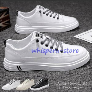 Xj[J[ Y jOV[Y Xb|  EH[LOV[Y ~ ʋC y  h   Vv