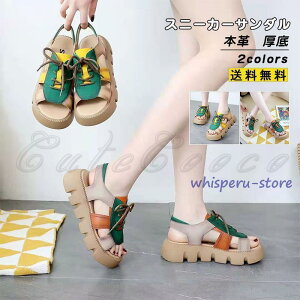 Xj[J[T_ {v fB[X  ₷ ؂񂱌C JWAV[Y EFbW\[ ɂȂ t@bV C  r ꂢ