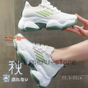 Xj[J[ fB[X C X|[cV[Y V[Y ~ r r ₷ Ȃ ɂȂ ʋC Vv ʋ ʊw 