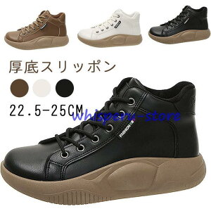 Xj[J[ fB[X Xb| Ȃ y ₷ V[Y    L EH[LO X|[c JWA Vv AEghA 