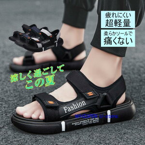 V[Y T_ Y fB[X r[`T_ X|[cT_ ₷ ʋC y ~  ^ C ނ