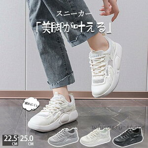 JWA Xj[J[ C fB[X V[Y fB[XXj[J[ ʋC y _炩 EH[LOV[Y tbgV[Y X|[c  LC