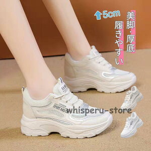  _bhXj[J[ fB[X _bhV[Y {[Xj[J[ Cq[ r tbgV[Y JWA [XAbv Ȃ