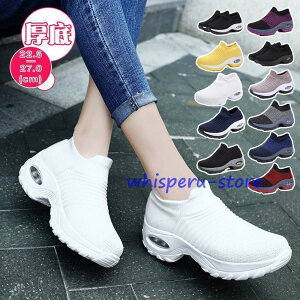 Xj[J[ fB[X   V[Y lC R[f  ʋC w ʋ ʊw 11FIׂ Xj[J[zCg