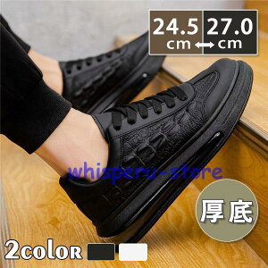 Xj[J[ Y EH[LO JWAV[Y NbV n C ʊw ʋ t H ~ K zCg X|[c CjO X[X