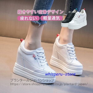 {v  Xj[J[ fB[X r V[Y r i Cq[  ʋ ʊw JWA ؍ EH[LO